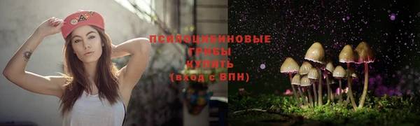 гидра Нефтекумск