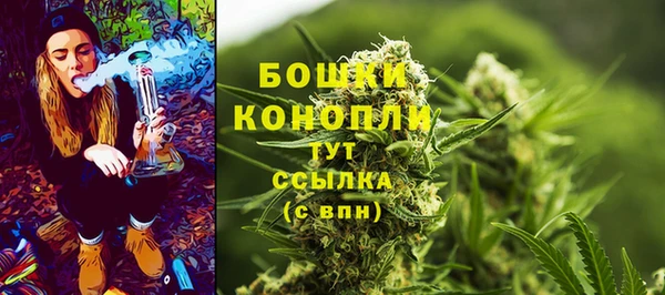 гидра Нефтекумск