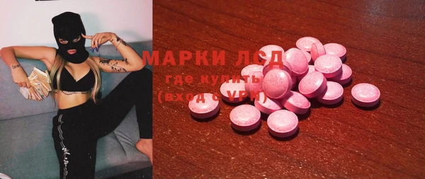 спиды Новодвинск